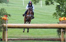 European Eventing Championships horse put down Michal Knap Bob The Builder
