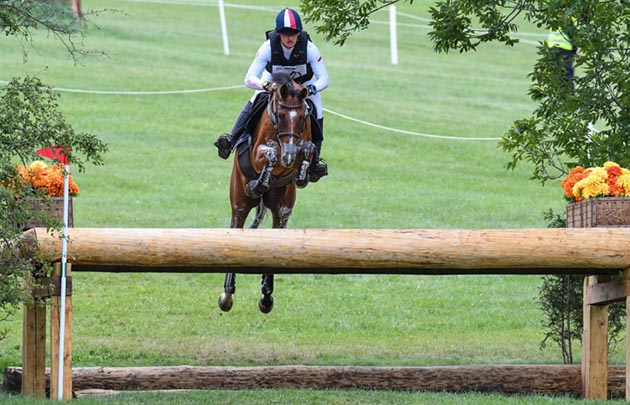 European Eventing Championships horse put down Michal Knap Bob The Builder