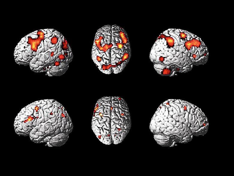 Brain activity could expose potential terrorists