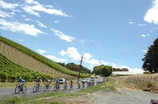 The Tour Down Under field head towards Stirling