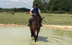 Simon Grieve cross-country schooling on Bob, aka Wish He Was Yours