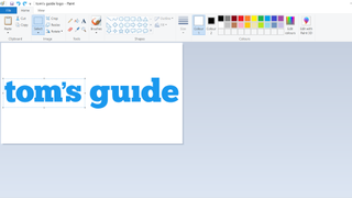 How to edit images in MS Paint - a screenshot of a rectangular selection being made on an image in Microsoft Paint
