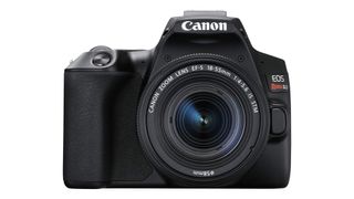 Canon EOS Rebel SL3/250D stock image