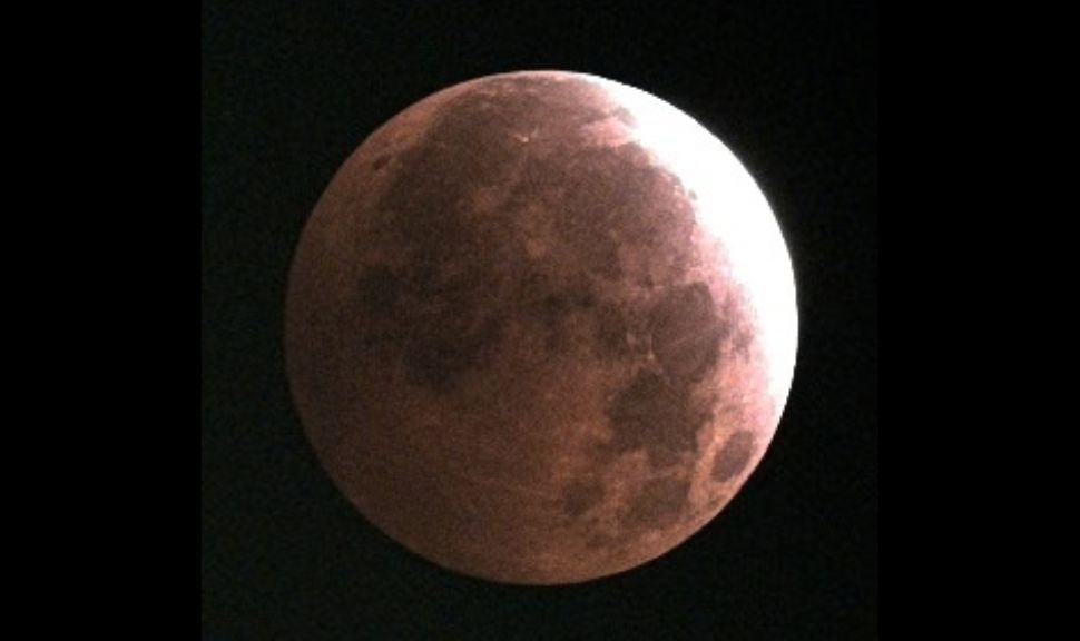 A red and white lunar disk during the partial lunar eclipse on Aug. 28, as imaged by the ZWO Seestar S50 Pro.
