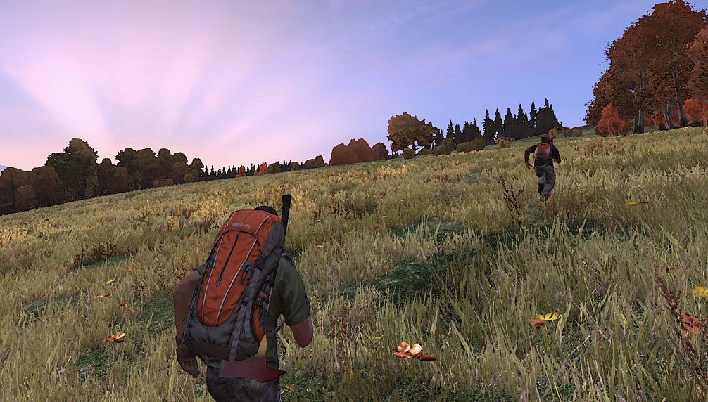 DayZ Diaries: the one where Andy decides never to trust anyone ever ...