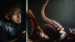 David Scheel in The Octopus in my House