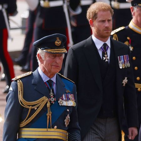 King Charles and Prince Harry