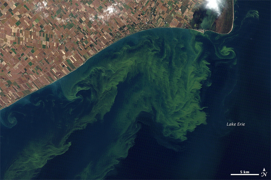 A toxic algae bloom in Lake Erie in October 2011 as seen by the Landsat-5 satellite. One of the capabilities of the proposed PACE satellite would be to monitor such blooms.