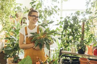 Save Happy young woman holding a plant in a small gardening shop