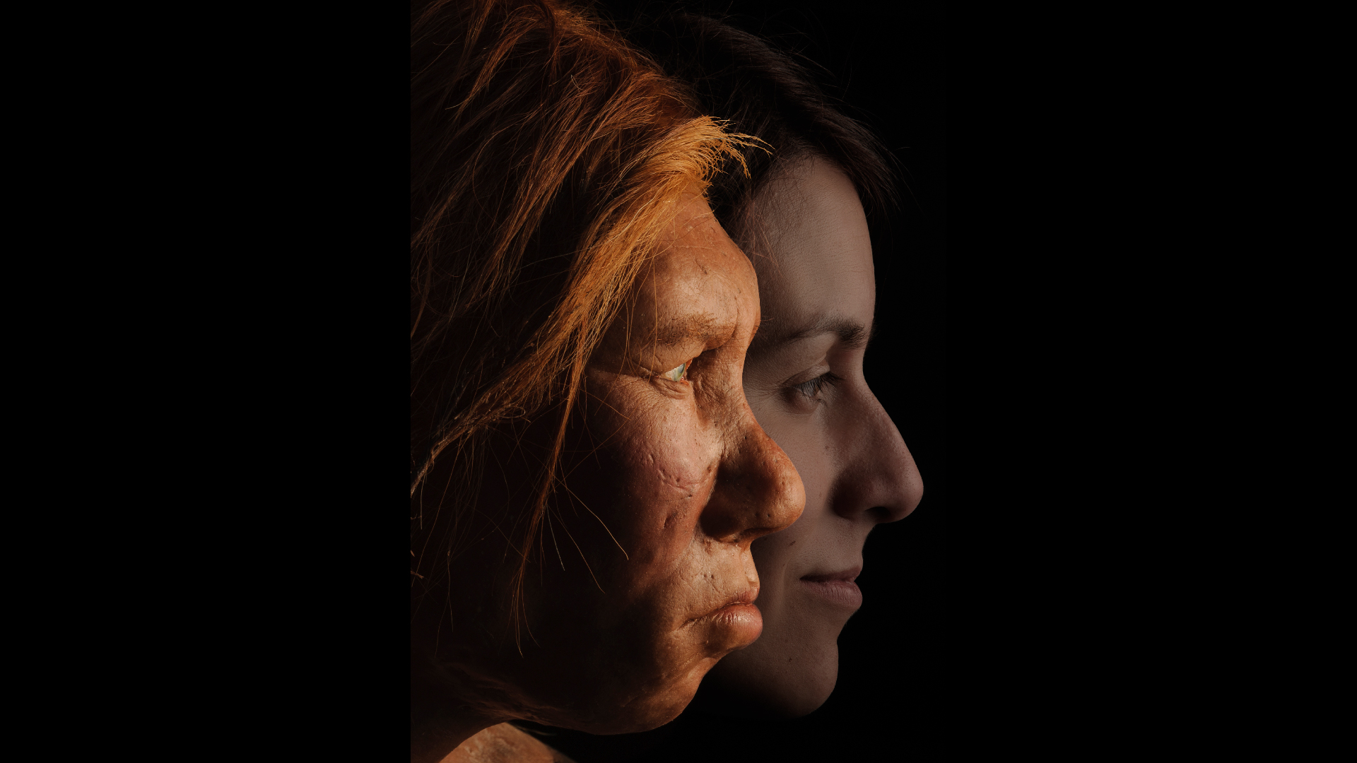 A recreation of a neanderthal woman next to a modern-day human. The neanderthal woman has red hair and ruddy skin.
