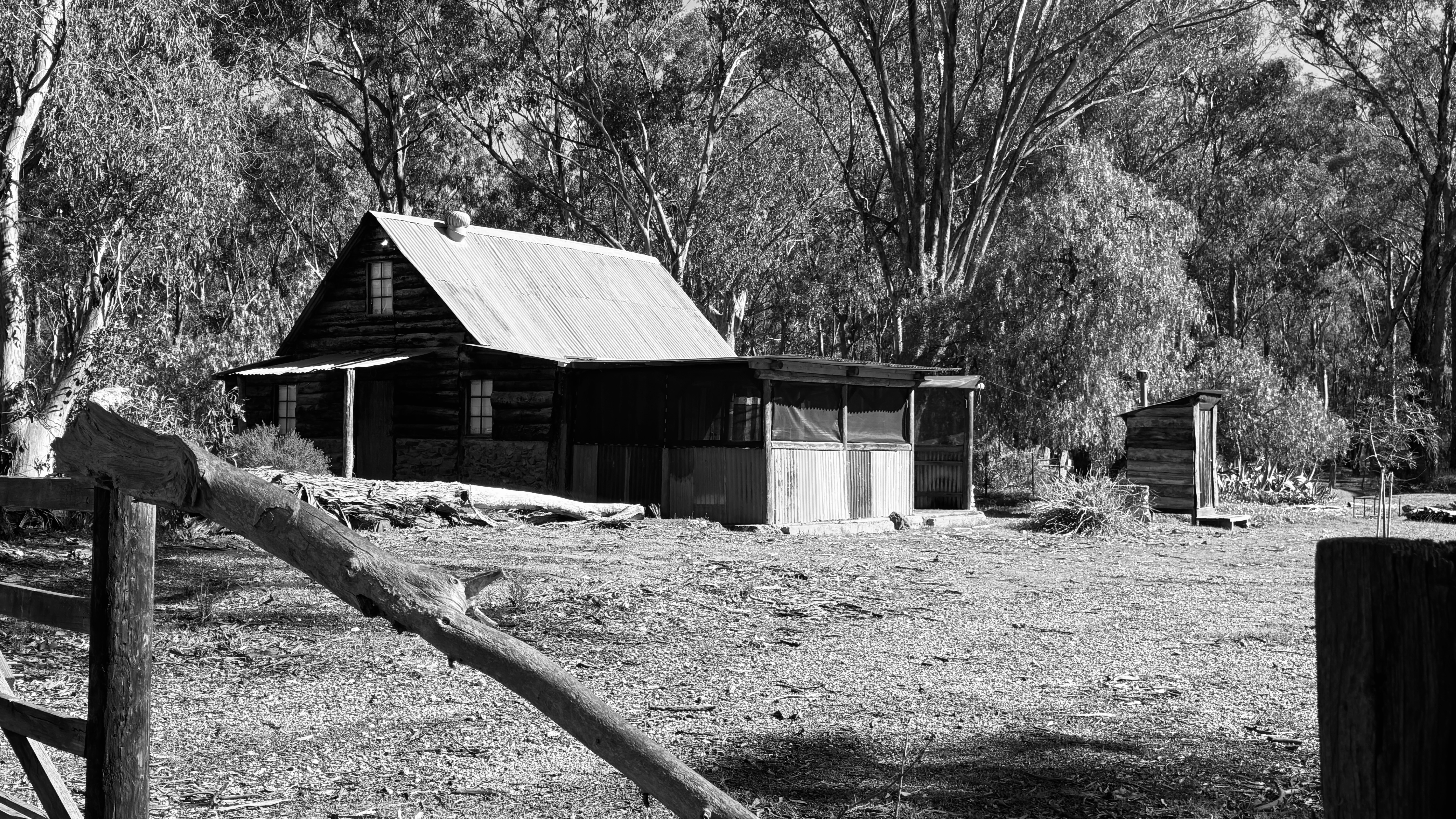 GuruShots - Powerful Black & White Jan 26