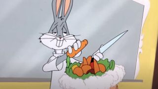 Bugs Bunny and Elmer Fudd on Looney Tunes