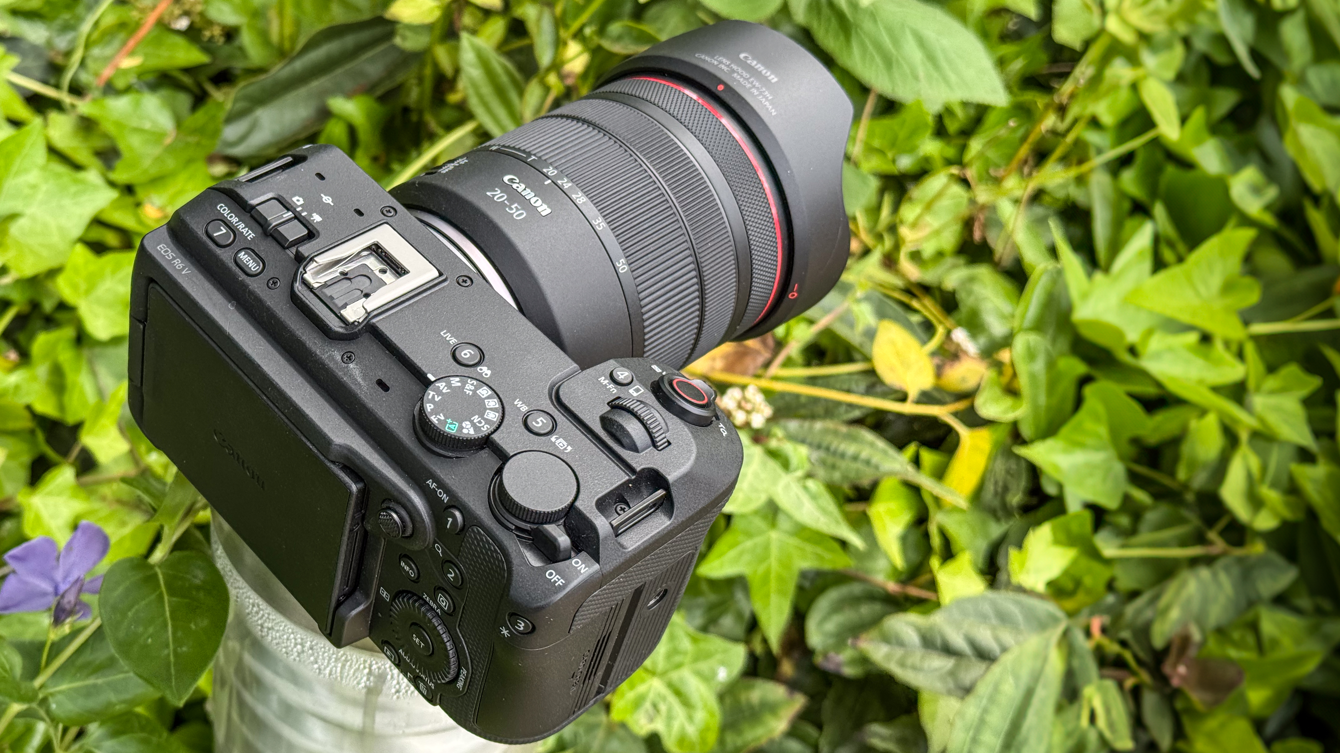 Canon EOS R6 V with the Canon RF 20-50mm f/4L IS USM PZ sat outdoors on foliage