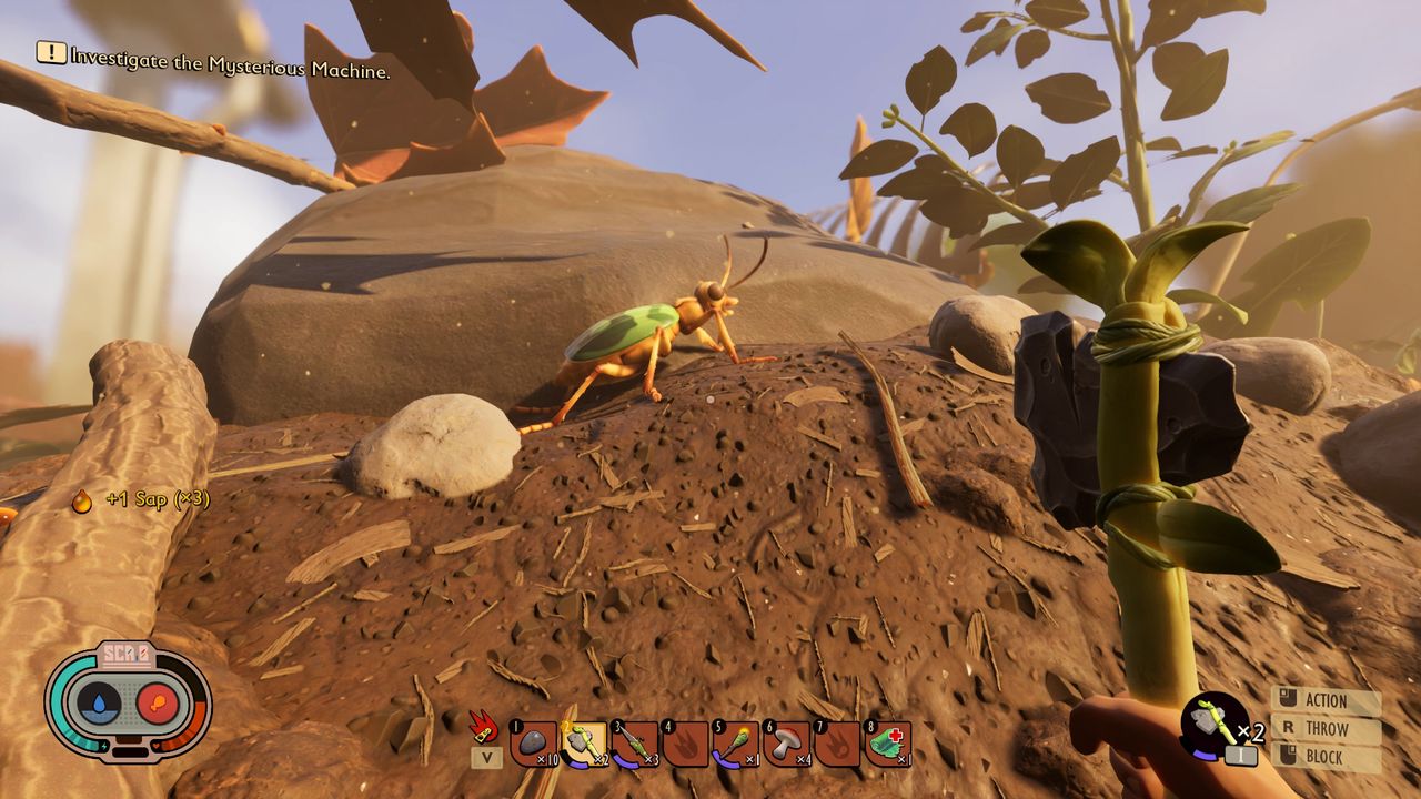 Grounded Axe Bombardier Beetle