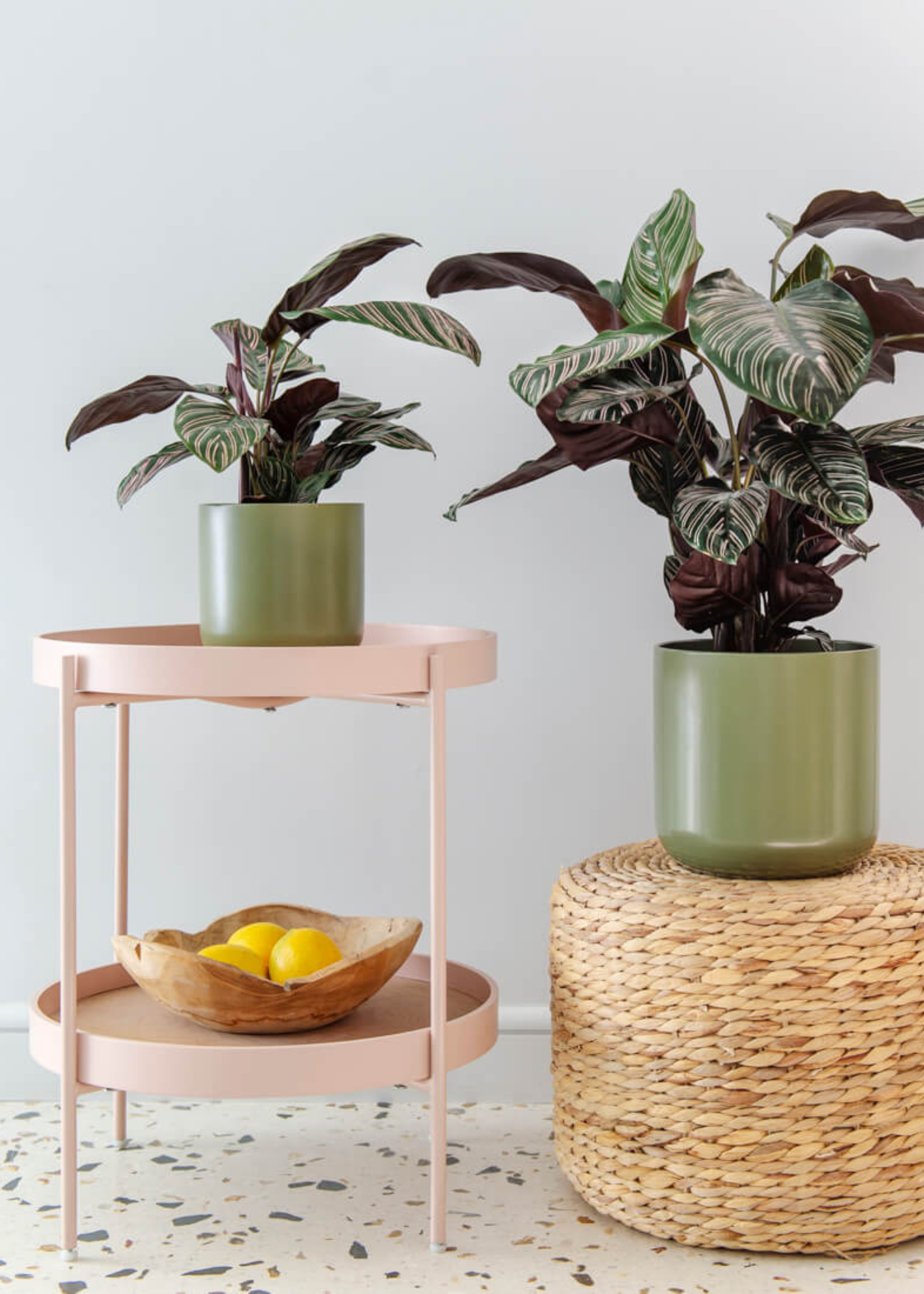 A tiered light pink side table with a wooden bowl of lemons, a green planter with a mini calathea sanderiana and a woven pouf with a larger version