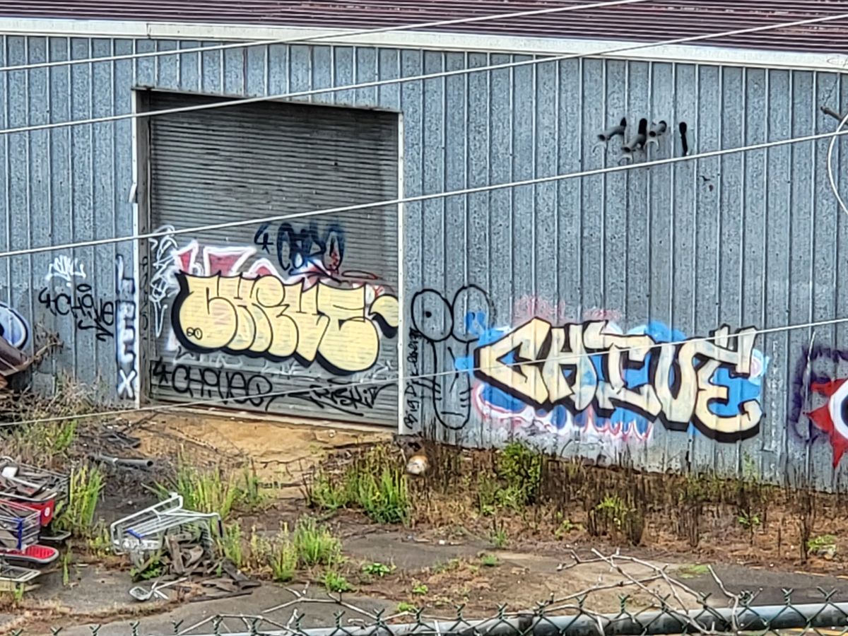 Samsung Galaxy Z Fold 3 daytime telephoto camera sample