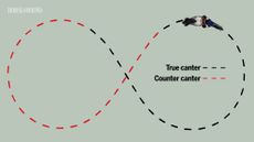 diagram showing figure of eight training exercise for horse