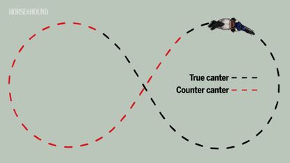 diagram showing figure of eight training exercise for horse