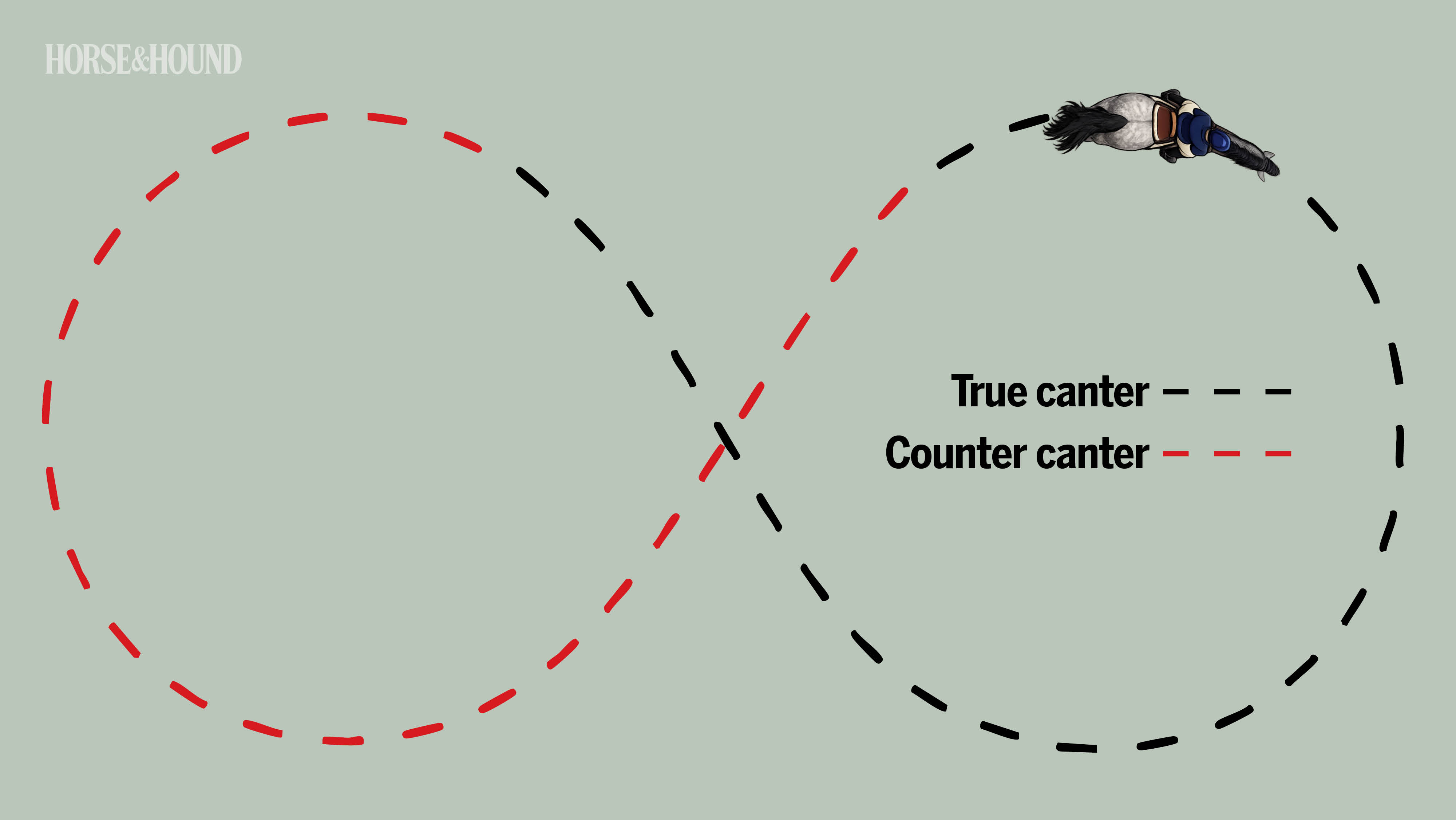 diagram showing figure of eight training exercise for horse