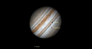 Jupiter hangs in black, striped with gases of grown white and tan. Two moons are seen in the foreground and cast their shadows as small dark circles on the gas giant's face.