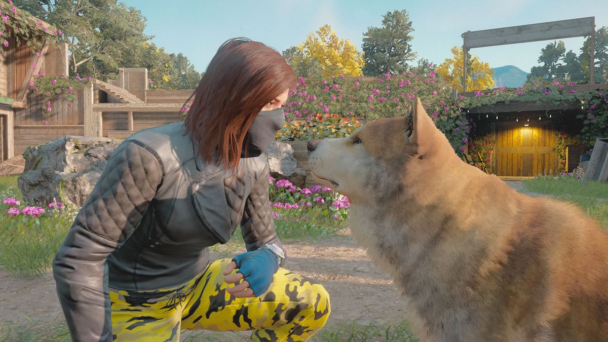 Far Cry New Dawn Hates Dogs So Much It Was Probably Made By Cats |  Gamesradar+