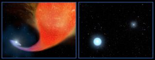 A blue straggler star forms by siphoning the mass from a red giant star it closely orbits in a binary system. In the second frame, the bright, hot white straggler orbits the remains of the first star, now a faint white dwarf.