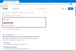 What's my public IP online search