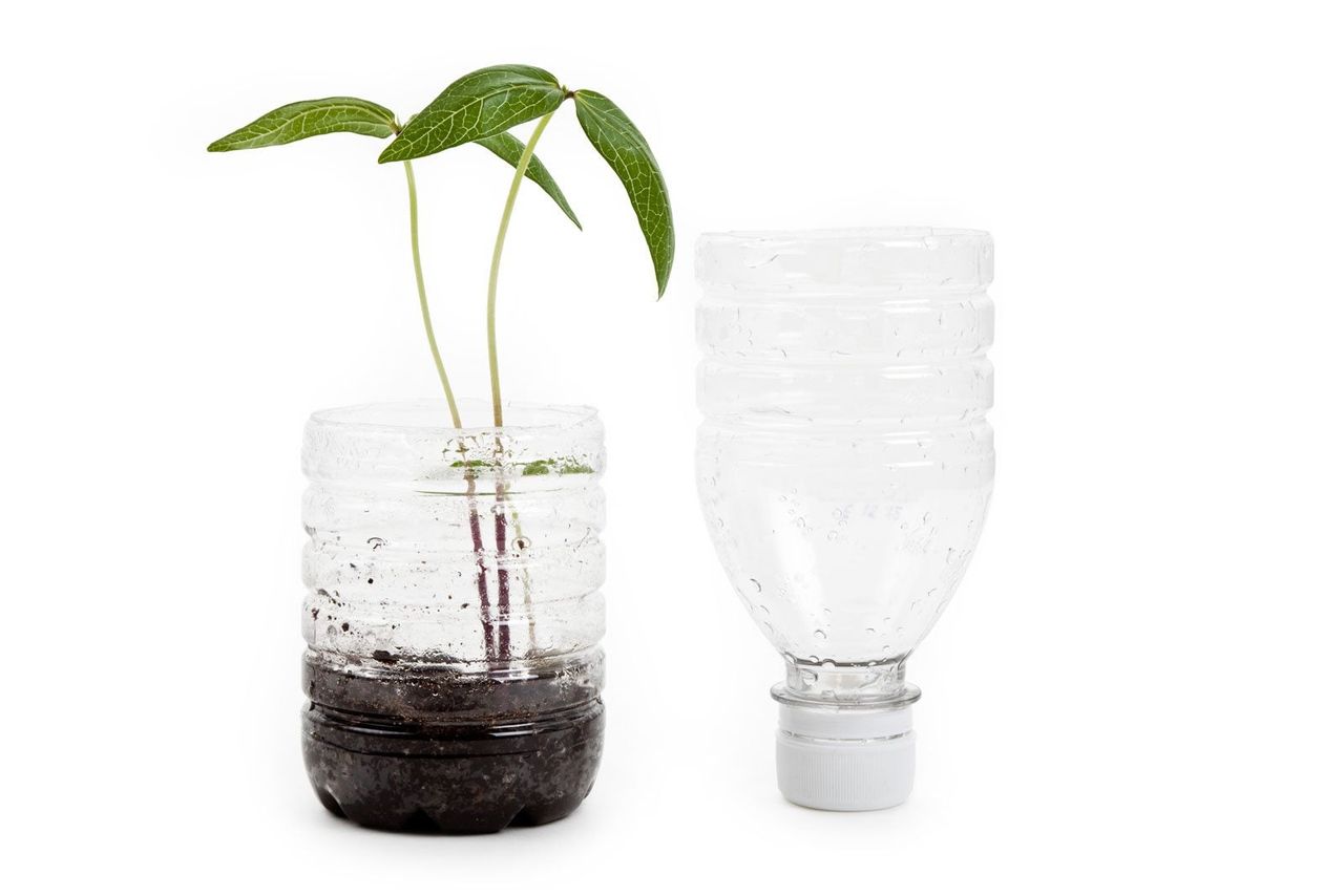 Plastic Water Bottle Cut In Half Used As A Planter