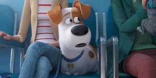The Secret Life of Pets 2 Max looking nervous at the vet