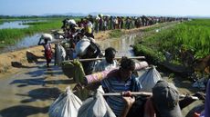 Rohingya refugees head towards the Balukhali refugee camp after crossing into Bangladesh
