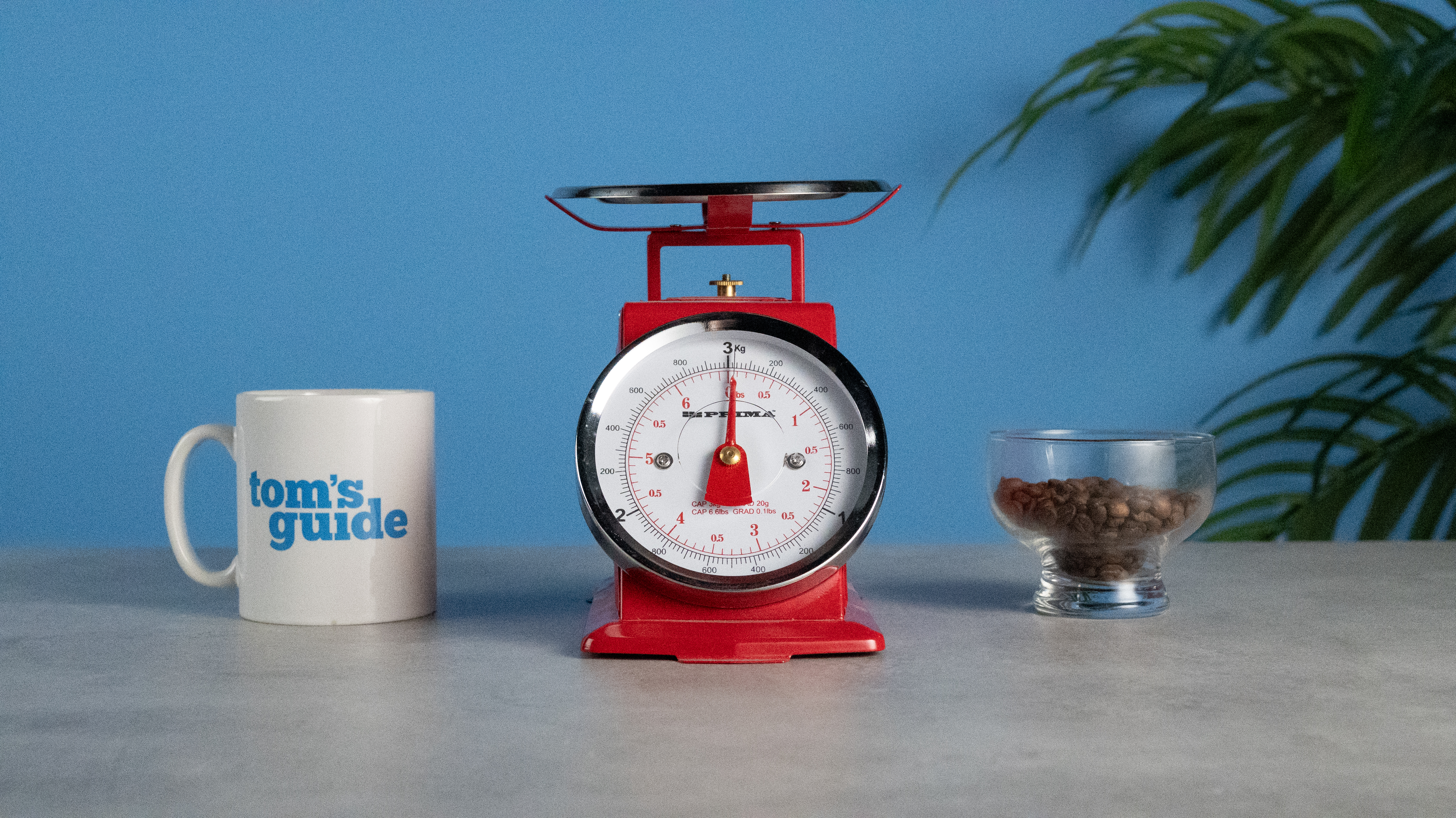 A set of red scales with a mug on the left and a glass of coffee beans on the right. Taken at ISO12800 on the Nikon Z50II.