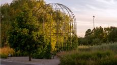 Chicago Botanic Garden Shida Garden