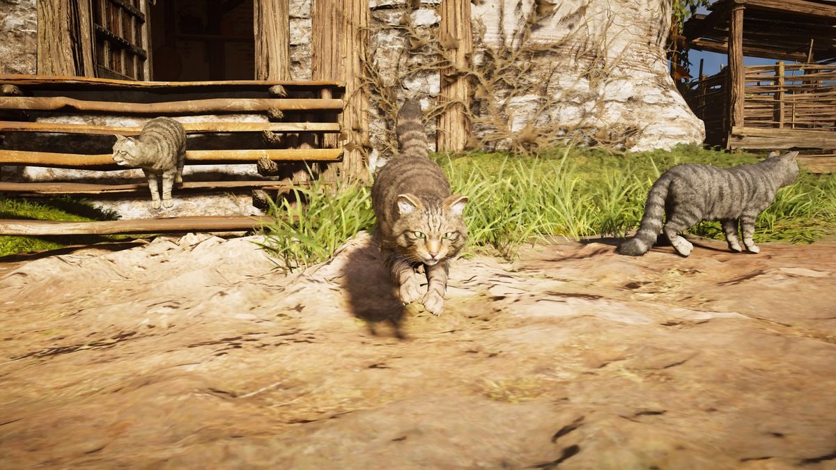 Assassin's Creed Valhalla