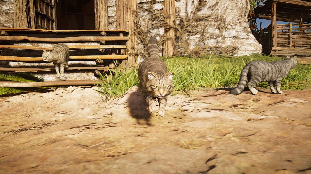 Assassin's Creed Valhalla