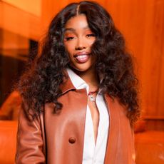 SZA attended the Louis Vuitton menswear show in custom Vans sneakers