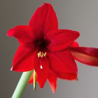 Brandi Brown's avatar