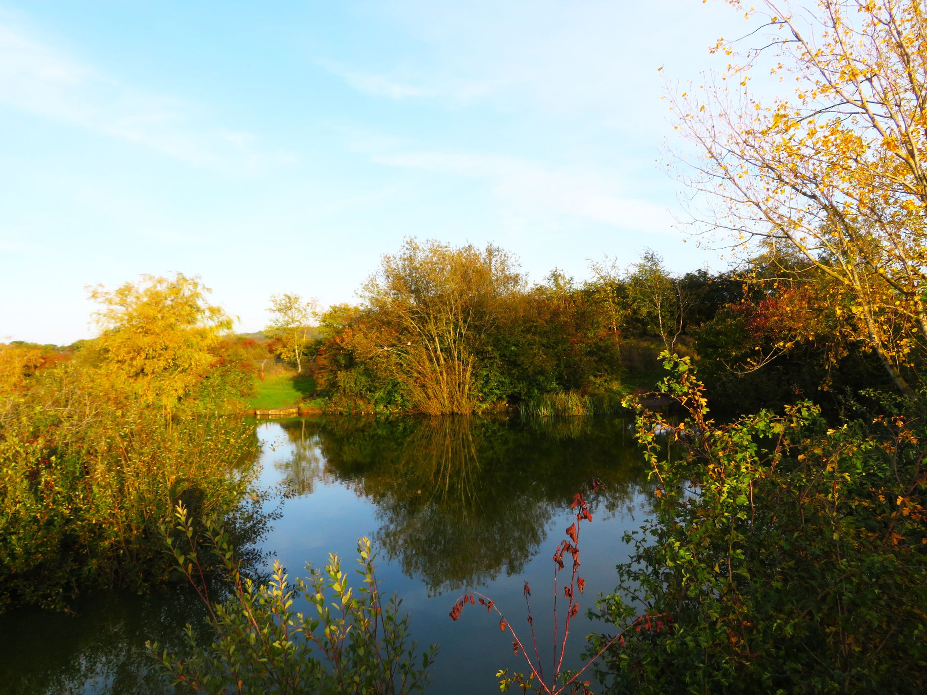 GuruShots - Vivid Landscapes March 2026