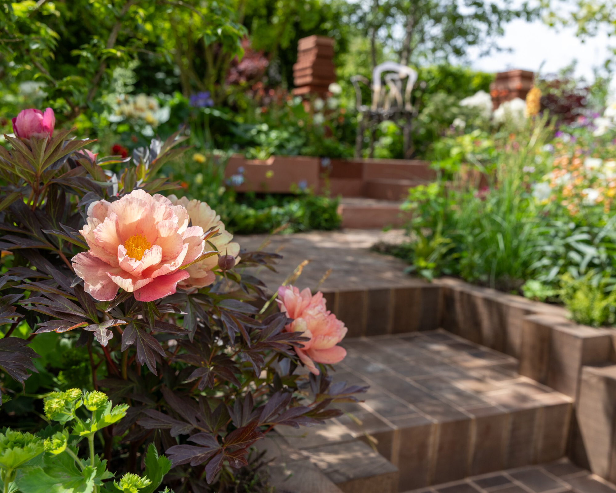 terracotta tones in a show garden, RHS Chelsea Flower Show 2026