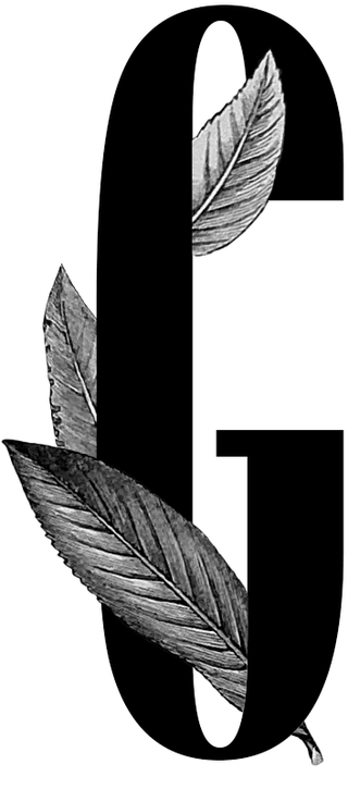 Leaf, Black-and-white, Monochrome photography, Feather, Botany, Plant, Line, Tree, Photography, Illustration,