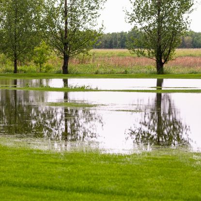 Flooded yard with drainage issues