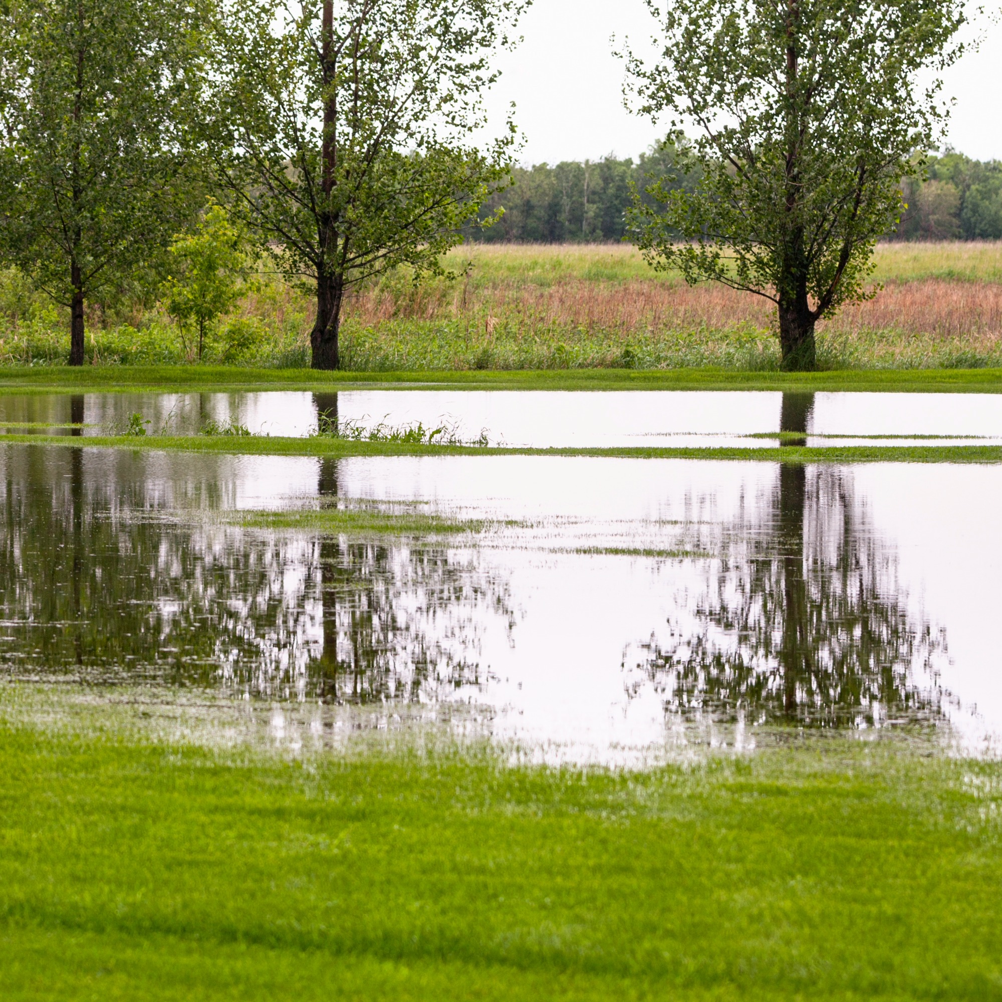 Flooded yard with drainage issues