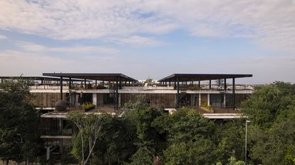 amelia tulum, a residential project in mexico where low volumes mix with greenery and mexican jungle