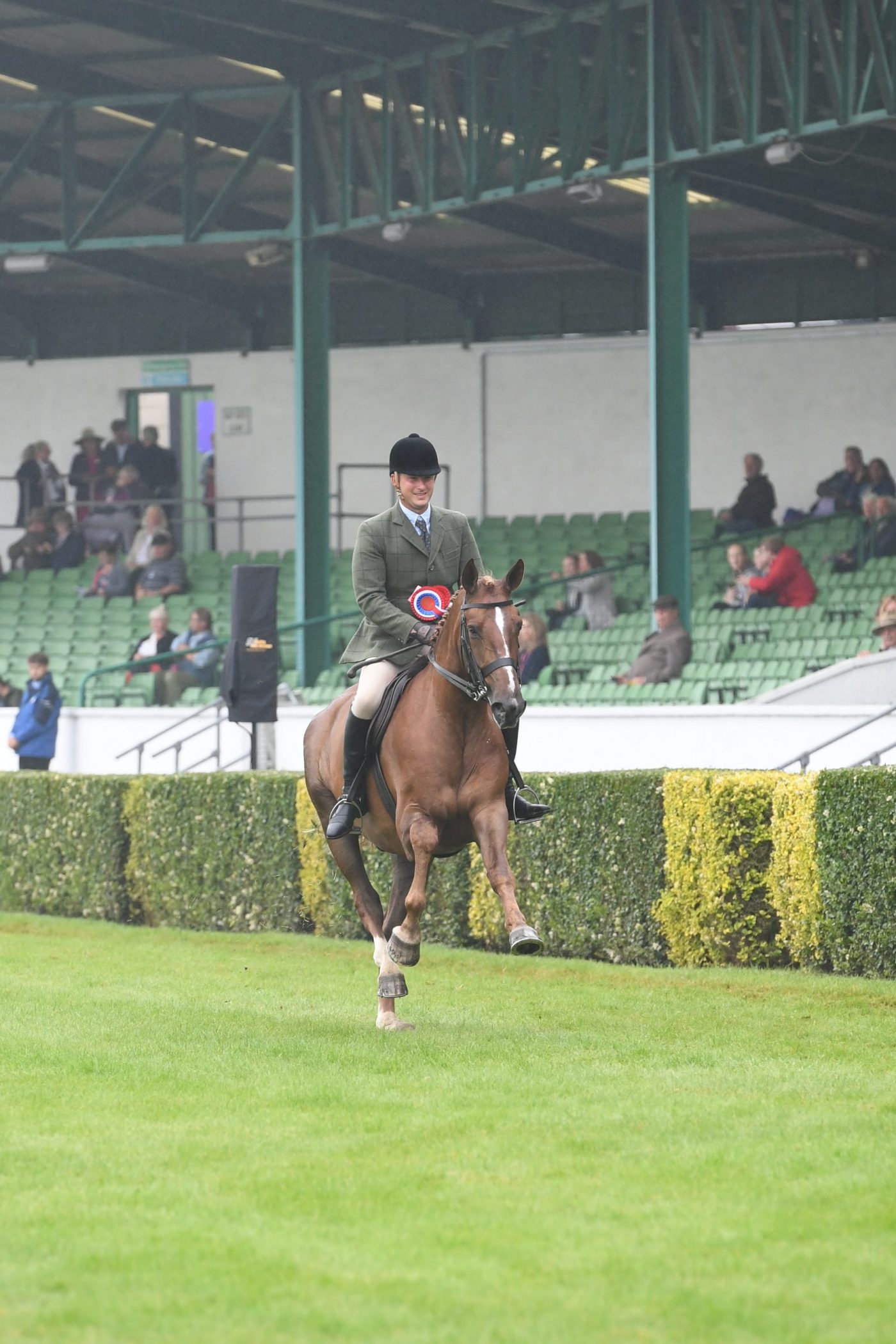 novice-champion-e1563292172741.jpg