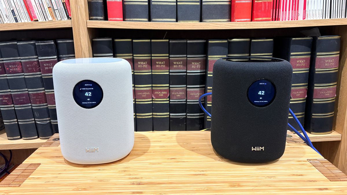 WiiM Sound wireless speaker
