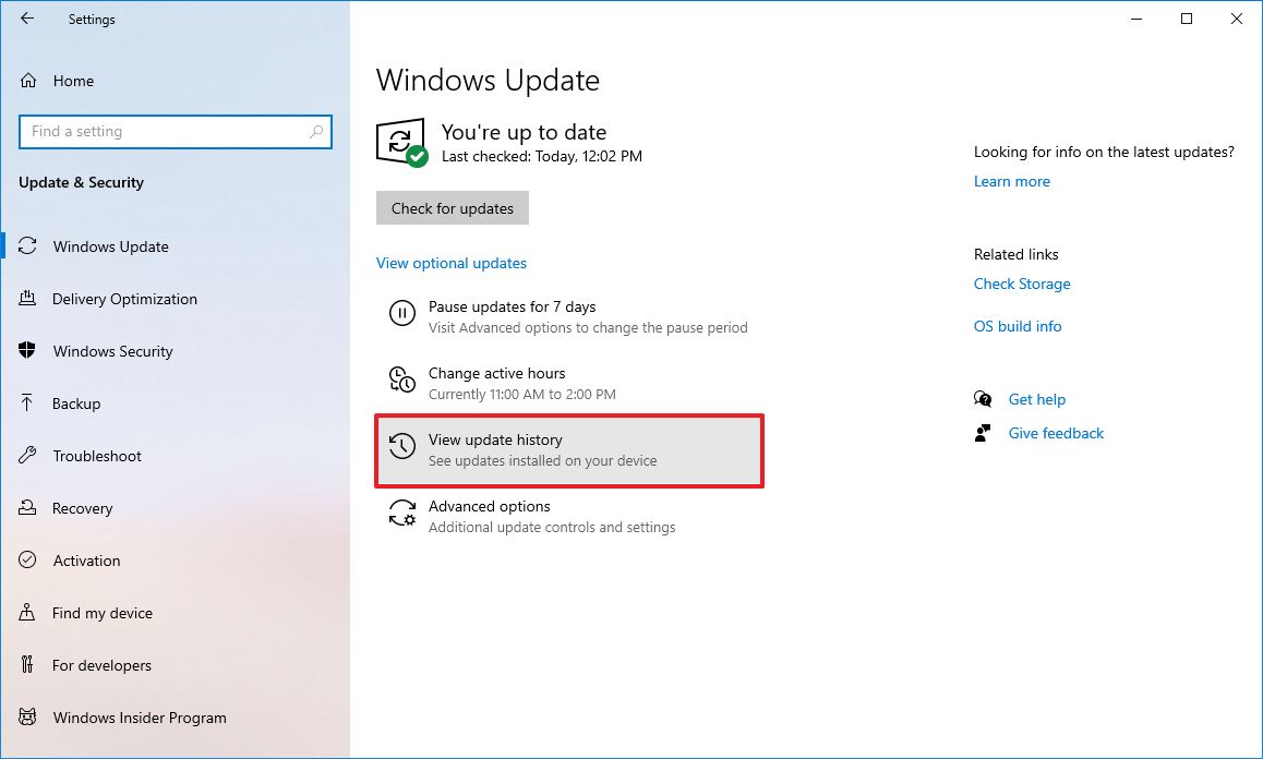 Windows 10 view update history option