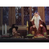 Harry Potter 8-Film Collection: Buy all 8 Harry Potter films for $78.99 $49.99 and stream on Amazon Prime Video
