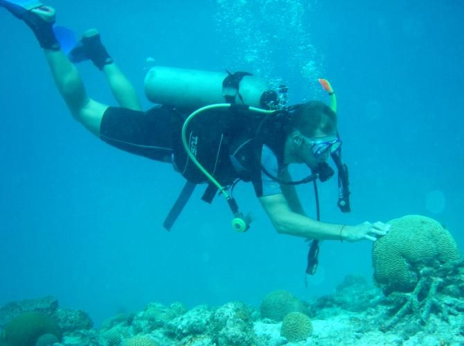 Tom Boonen gets curious during a scuba dive