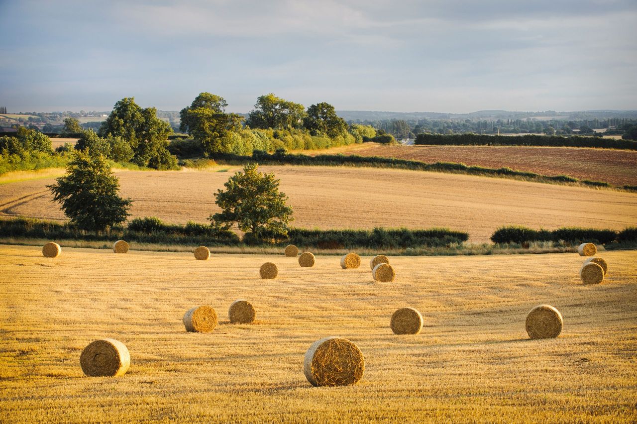 Hay bails and stubble in a field at sunset, Warwickshire, England, UK. Image shot 08/2010. Exact date unknown.