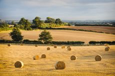 Hay bails and stubble in a field at sunset, Warwickshire, England, UK. Image shot 08/2010. Exact date unknown.