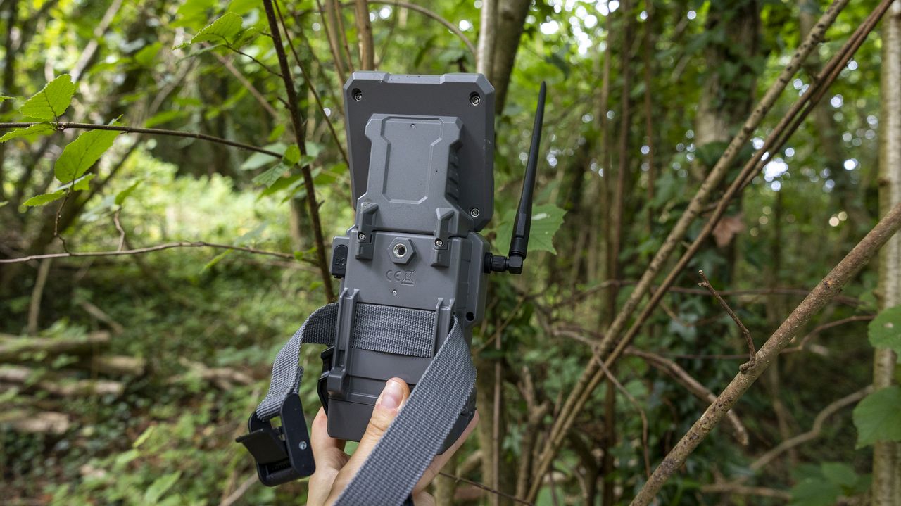 The back of the Spypoint FLEX-S-Dark trail camera